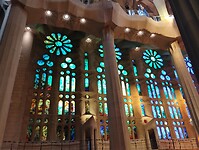 IMG_20231104_155252746