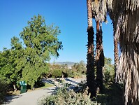 IMG_20231105_101217356