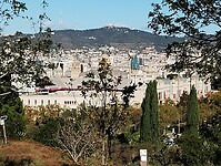 IMG_20231105_101911058