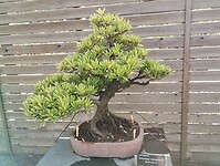 IMG_20231105_110259771