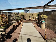 IMG_20231105_110856111