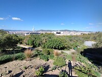 IMG_20231105_112417852