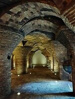 IMG_20231105_141623184