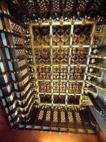 IMG_20231105_144640260