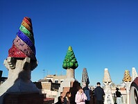 IMG_20231105_152612333