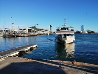 IMG_20231105_160129335