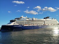 IMG_20231105_164147071