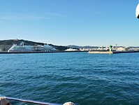 IMG_20231105_164844687