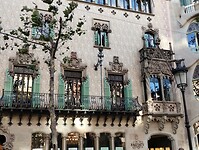 IMG_20231103_154106518