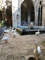 IMG_20231106_121530416