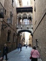 IMG_20231106_122656425