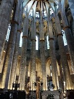 IMG_20231106_131204679