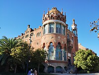 IMG_20231106_152243554