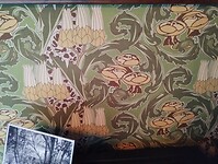 IMG_20231106_164641217