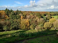 IMG_20231111_105246612_HDR