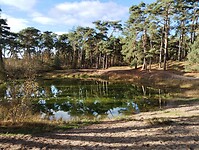 IMG_20231111_124423126