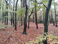 IMG_20231111_140722997