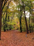 IMG-20231111-WA0000