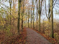IMG_20231126_120232963