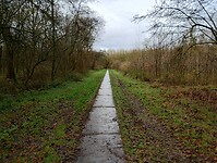 IMG_20231126_124657069_HDR