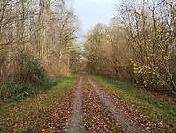 IMG_20231126_125436642
