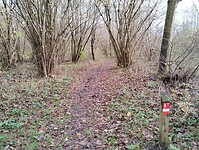 IMG_20231126_125707961