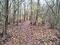 IMG_20231126_131127614