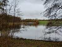 IMG_20231126_132144829_HDR