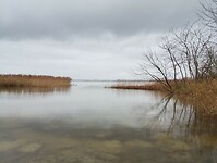 IMG_20231126_133946910