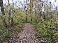 IMG_20231126_141513148