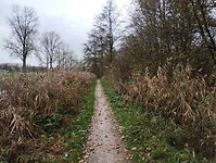 IMG_20231126_142633312