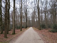 IMG_20231216_120744181
