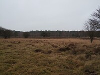 IMG_20231216_120326027