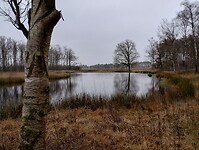 IMG_20231216_115320784_HDR