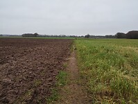 IMG_20231216_104411290