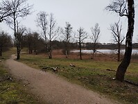 IMG_20231216_100559069