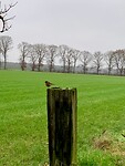 IMG-20231217-WA0011