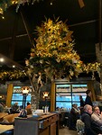 IMG-20231217-WA0008