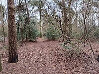 IMG_20231230_131212617_HDR
