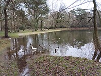 IMG_20231230_130317575