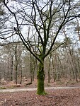 IMG_20231230_114637116_HDR