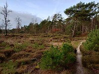 IMG_20231230_105847985_HDR