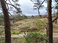 IMG_20231230_105749020_HDR