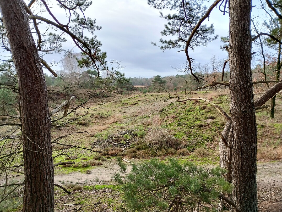 IMG_20231230_105749020_HDR