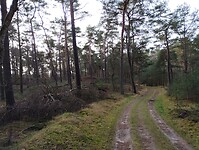 IMG_20231230_104547896