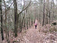IMG_20240106_131004062