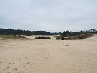 IMG_20240106_124507672