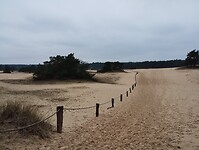 IMG_20240106_124221419