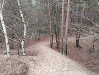 IMG_20240106_124155212
