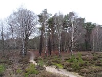 IMG_20240106_122637294